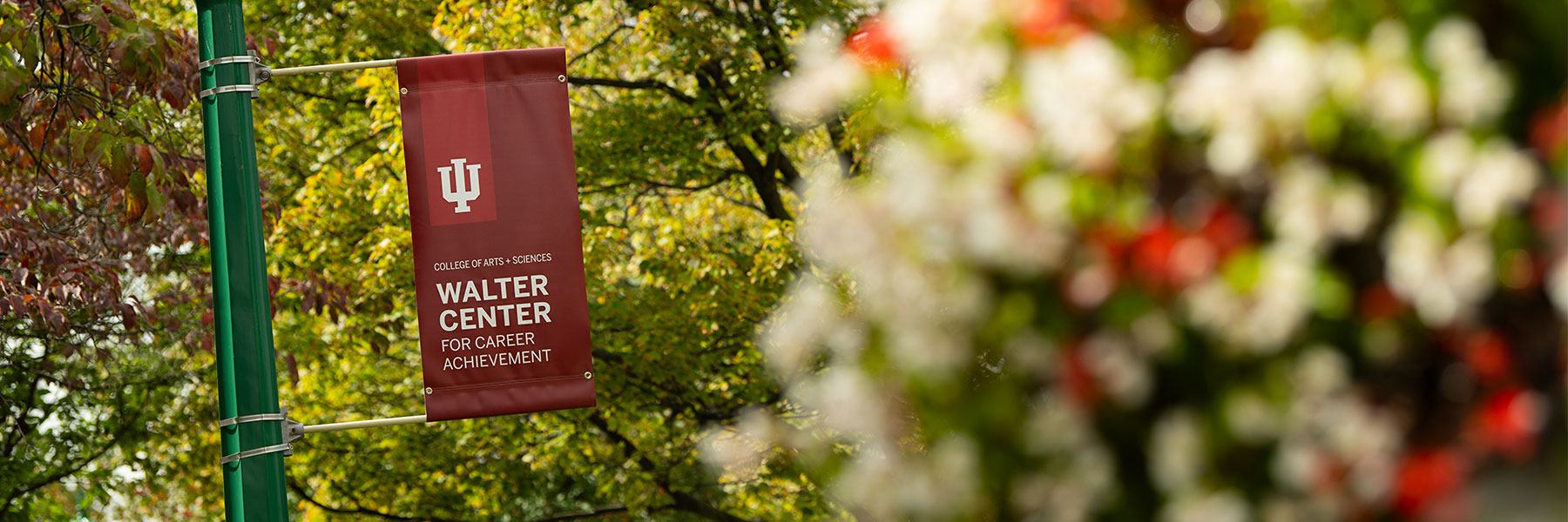 Walter Center banner on lamp post